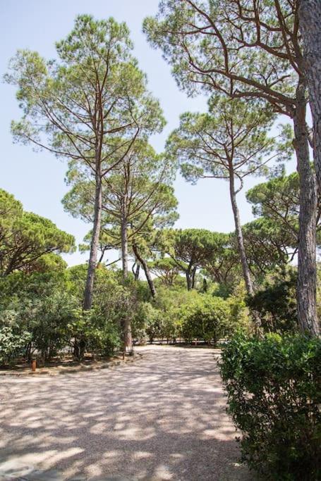 Villa Roccapini Castiglione della Pescaia Exterior foto
